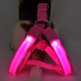 Safety Rechargeable LED Nylon Pet Dog Cat Harness Led Flashing Light Harness Collar Pet Safety Led Leash Rope Belt Dog Accessories