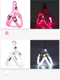 Safety Rechargeable LED Nylon Pet Dog Cat Harness Led Flashing Light Harness Collar Pet Safety Led Leash Rope Belt Dog Accessories