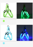 Safety Rechargeable LED Nylon Pet Dog Cat Harness Led Flashing Light Harness Collar Pet Safety Led Leash Rope Belt Dog Accessories