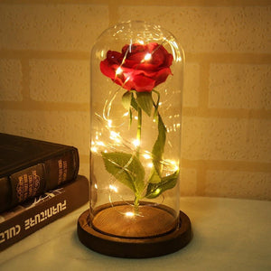 Enchanted Rose Lamps