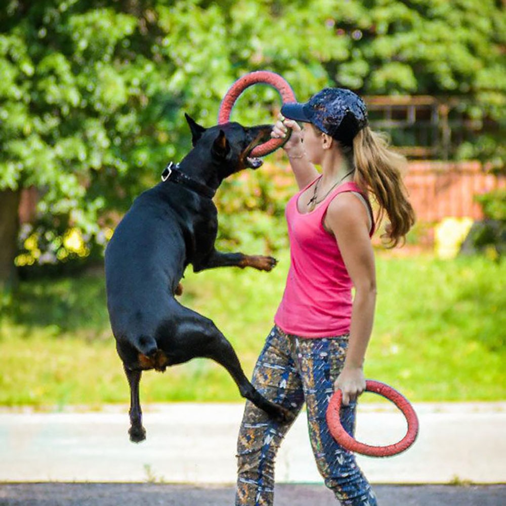 Dog Flying Discs Pet Ring