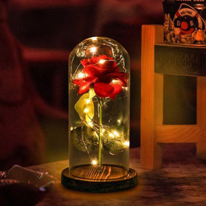 Enchanted Rose Lamps